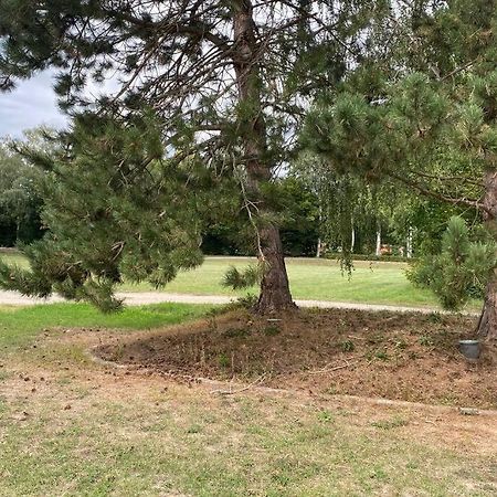 Le Moulin De Gresswiller المظهر الخارجي الصورة